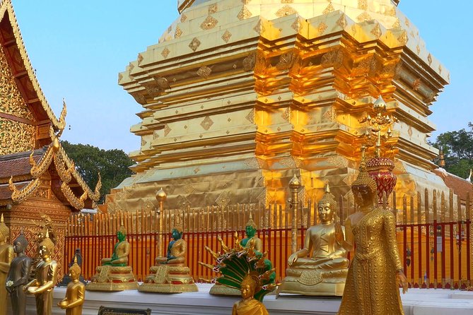Chiang Mai Iconic Temples and City Tour - Who should choose this experience?