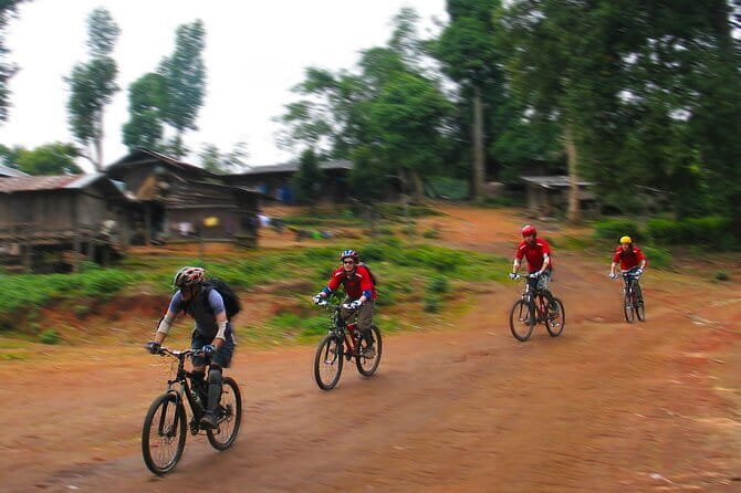 Chiang Mai: Inthanon, Elephant Sanctuary Observation & Waterfall - What the $81.12 price covers