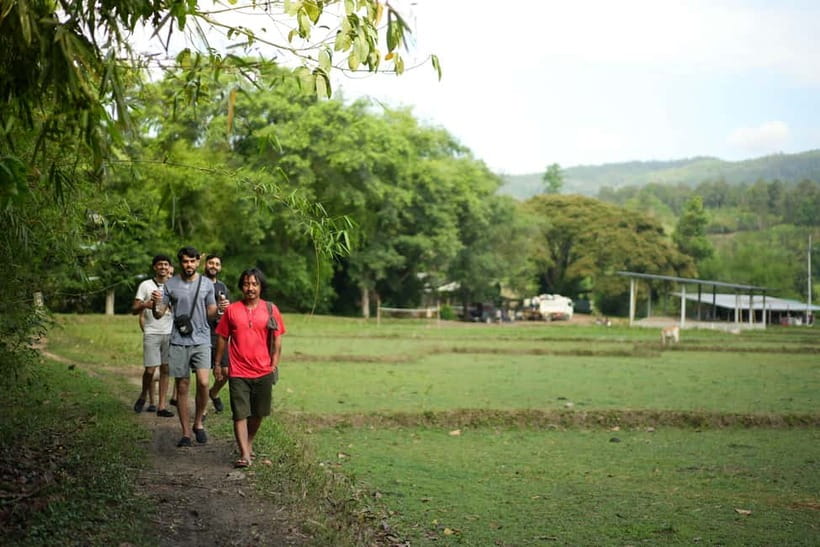 Chiang Mai: Jungle Jumbo Elephant Sanctuary with Waterfall - Pad Thai and the practical comforts