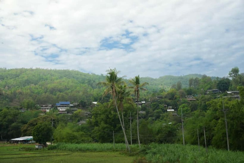 Chiang Mai: Jungle Jumbo Elephant Sanctuary with Waterfall - Who will enjoy this Chiang Mai excursion