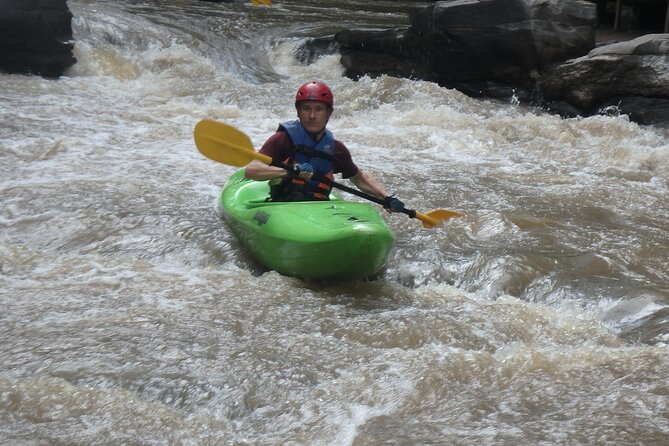 Chiang Mai: Jungle Kayak Adventure with Rapids & Elephants - Elephants, birds, and the quieter river stretches