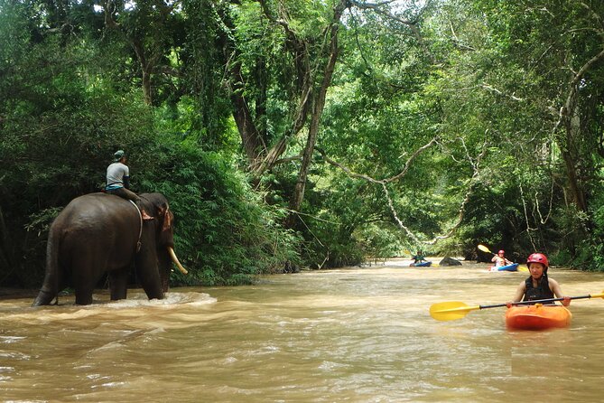 Chiang Mai: Jungle Kayak Adventure with Rapids & Elephants - Lost Canyon and the lower river for advanced paddlers