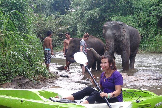 Chiang Mai: Jungle Kayak Adventure with Rapids & Elephants - Riverside lunch and what the price covers