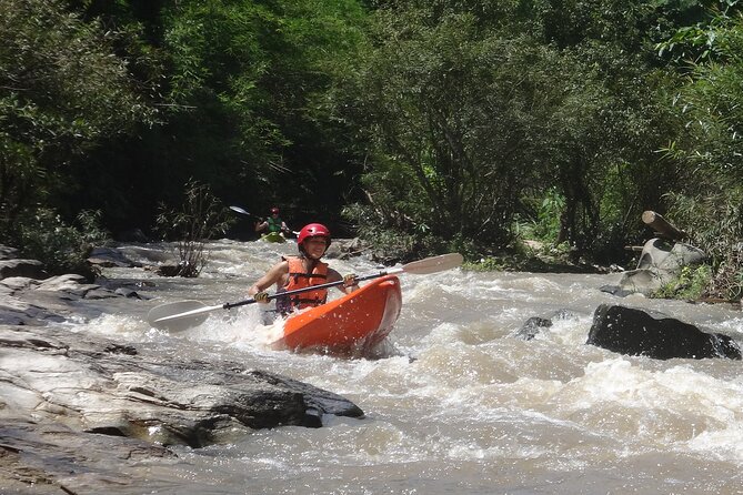 Chiang Mai: Jungle Kayak Adventure with Rapids & Elephants - Who will enjoy this Chiang Mai river trip