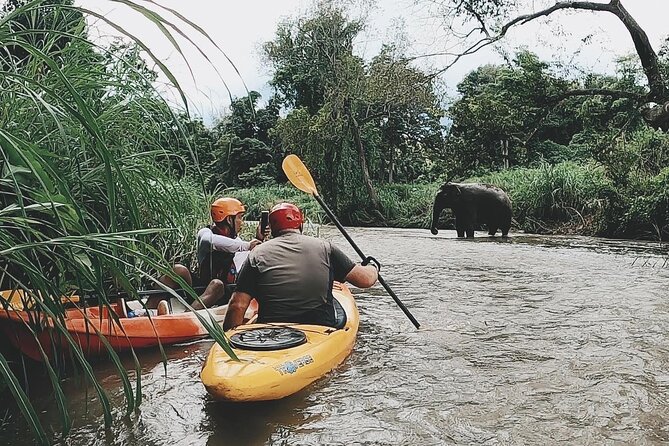 Chiang Mai: Jungle Kayak Adventure with Rapids & Elephants - Paddling the upper Mae Wang River
