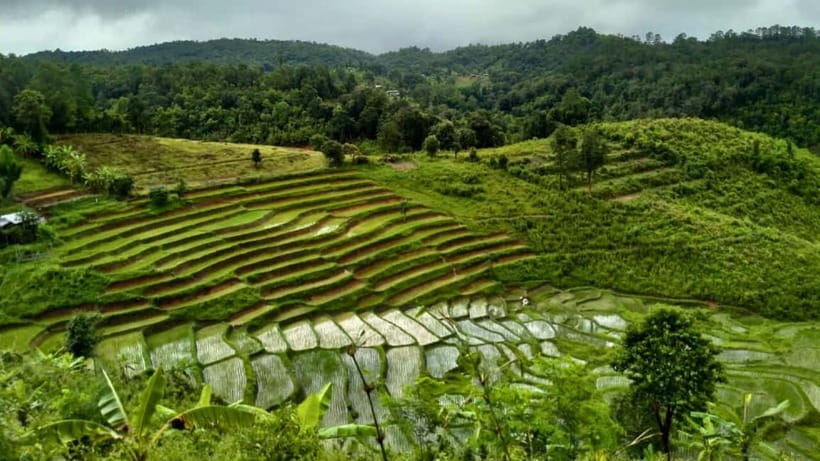 Chiang Mai: Jungle Trek, Elephants care & Bamboo Rafting - The waterfall stop and packed lunch