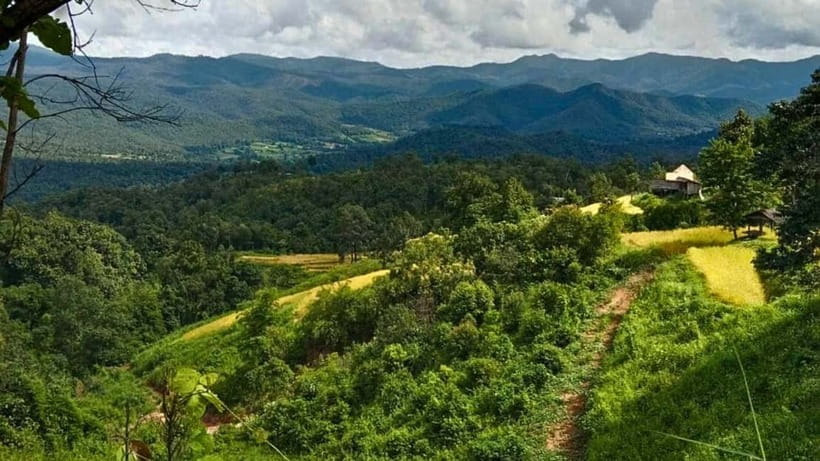 Chiang Mai: Jungle Trek, Elephants care & Bamboo Rafting - Meeting the Karen community