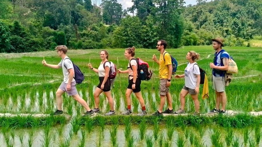 Chiang Mai: Jungle Trek, Elephants care & Bamboo Rafting - Transport, communication, and the day’s weak spot