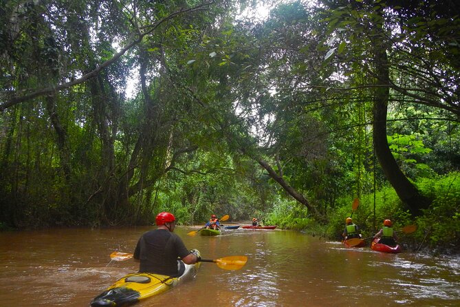 Chiang Mai : Kayak the Jungle Rivers of Chiang Dao Valley! - Paddling the Ping River near Chiang Dao