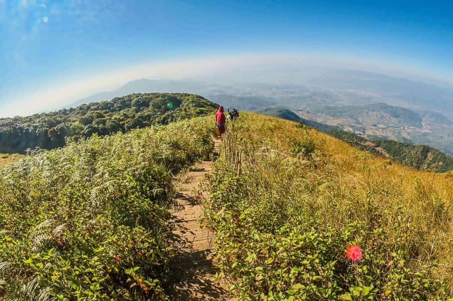 Chiang Mai: Kew Mae Pan Nature Trail & Doi Inthanon Day Trip - The King and Queen Pagodas