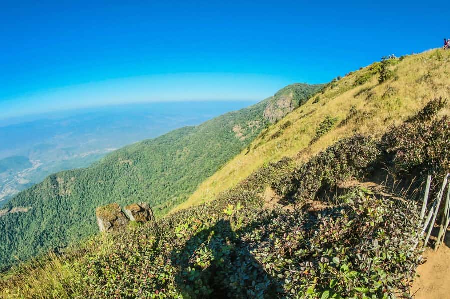 Chiang Mai: Kew Mae Pan Nature Trail & Doi Inthanon Day Trip - Transport, timing, and what to wear