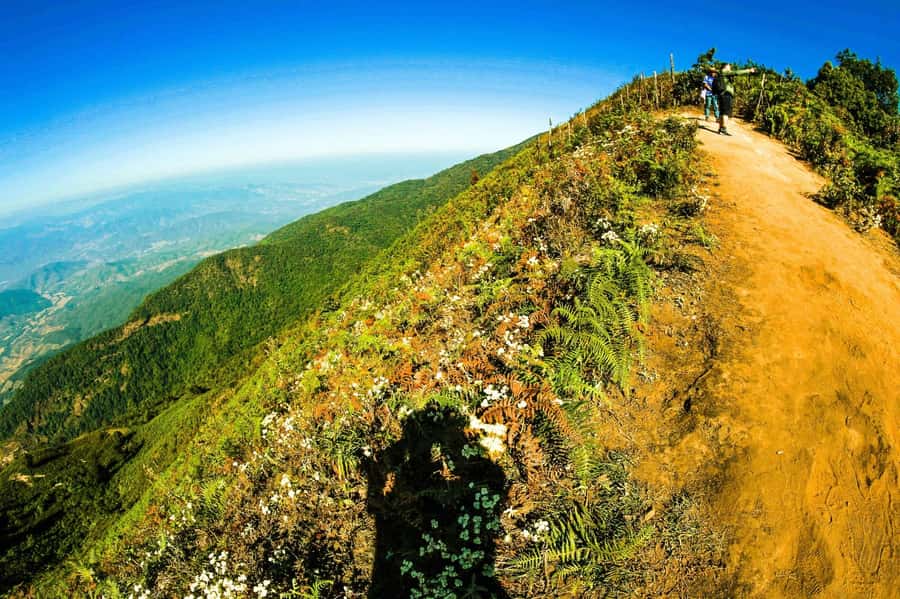 Chiang Mai: Kew Mae Pan Nature Trail & Doi Inthanon Day Trip - How the day compares with a simpler Doi Inthanon visit