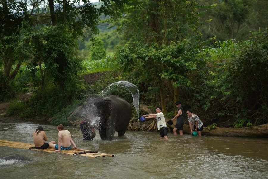 Chiang Mai: National Elephant Care, Rafting, & Ziplines Trip - Choosing between bamboo rafting and ziplining
