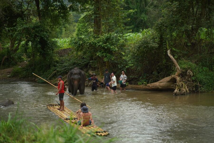 Chiang Mai: National Elephant Care, Rafting, & Ziplines Trip - FAQ