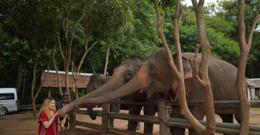 Chiang Mai: National Elephant Care, Rafting, & Ziplines Trip - The journey south from Chiang Mai