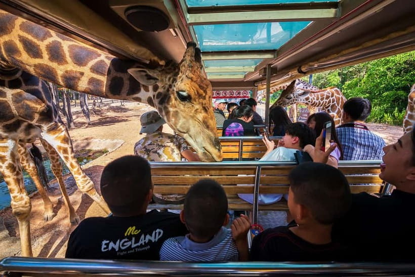 Chiang Mai Night Safari: Entry Ticket with Tram Ride - Why a Night Safari Works Better Than a Regular Zoo Visit