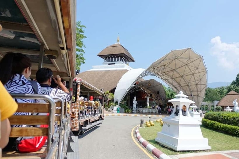 Chiang Mai Night Safari: Entry Ticket with Tram Ride - Riding Through the Savanna Zone