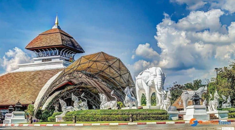Chiang Mai Night Safari: Entry Ticket with Tram Ride - Starting With the Jaguar Trail Zone
