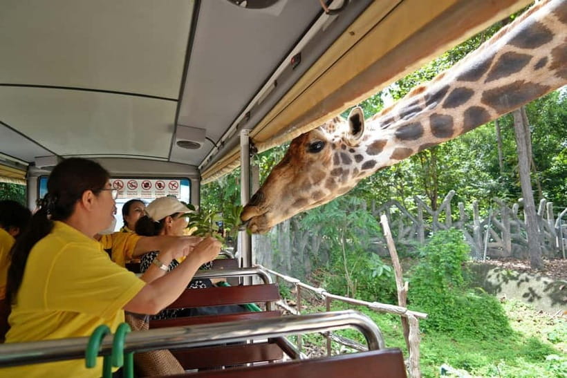 Chiang Mai Night Safari Ticket & Tram Rides Optional Pickup - Close-up animal encounters and extra costs