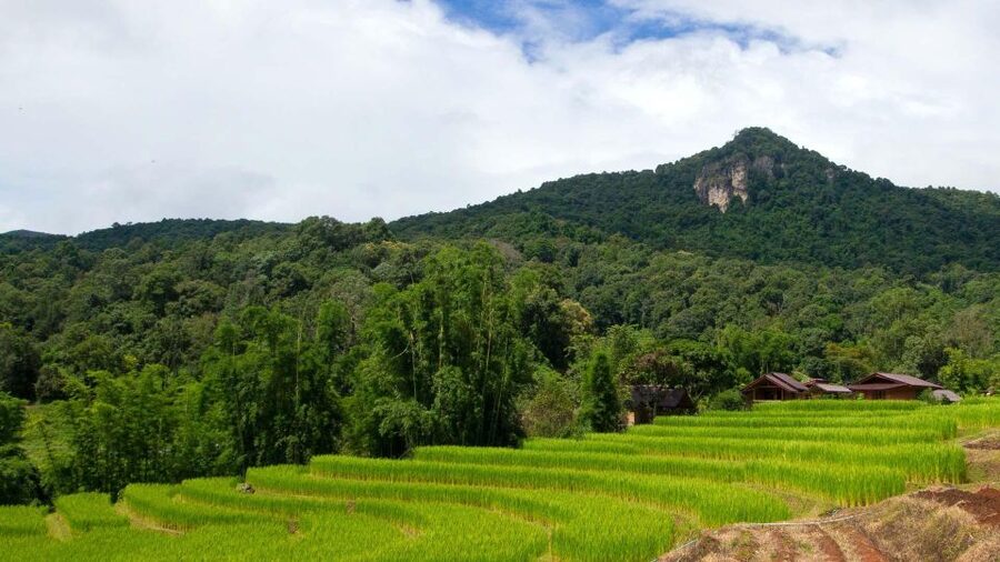 Chiang Mai: Pha Dok Siew Nature Trail & Doi Inthanon Trip - Lunch and the day’s steady rhythm