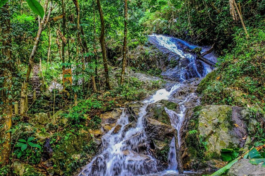 Chiang Mai: Pha Dok Siew Nature Trail & Doi Inthanon Trip - My final take