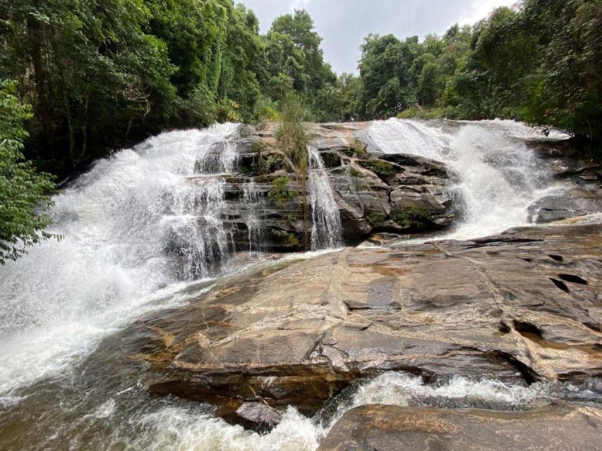 Chiang Mai: Pha Dok Siew Nature Trail & Doi Inthanon Trip - Pagodas with limited time