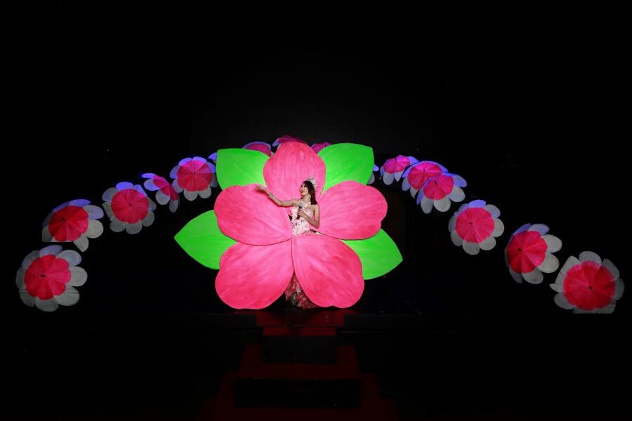 Chiang Mai: Siam Dragon Cabaret Show with Optional Transfer - What the 70-minute Siam Dragon show is like