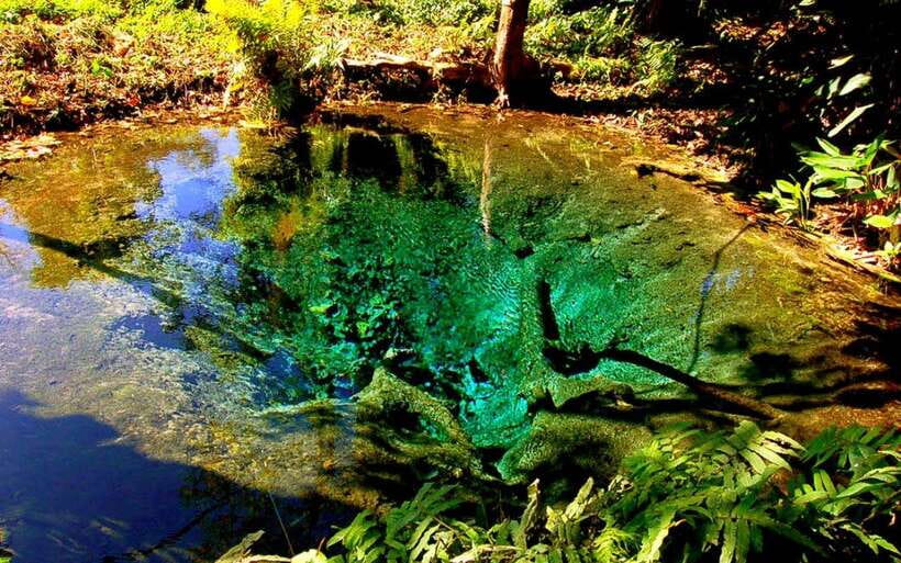 Chiang Mai: Sticky Waterfall, Chet Si Fountain Park Transfer - The 1.5-Hour Ride From Chiang Mai