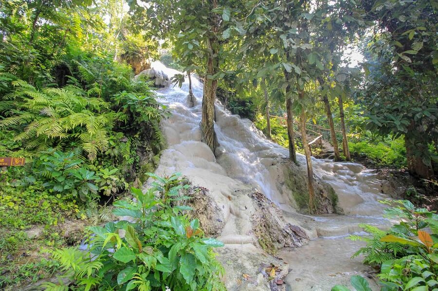 Chiang Mai: Sticky Waterfall, Chet Si Fountain Park Transfer - Who Will Enjoy This Half-Day Trip?