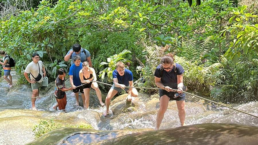 Chiang Mai : Sticky waterfall (Half Day Tour) Hotel Transfer - Why Buatong Waterfall is climbable