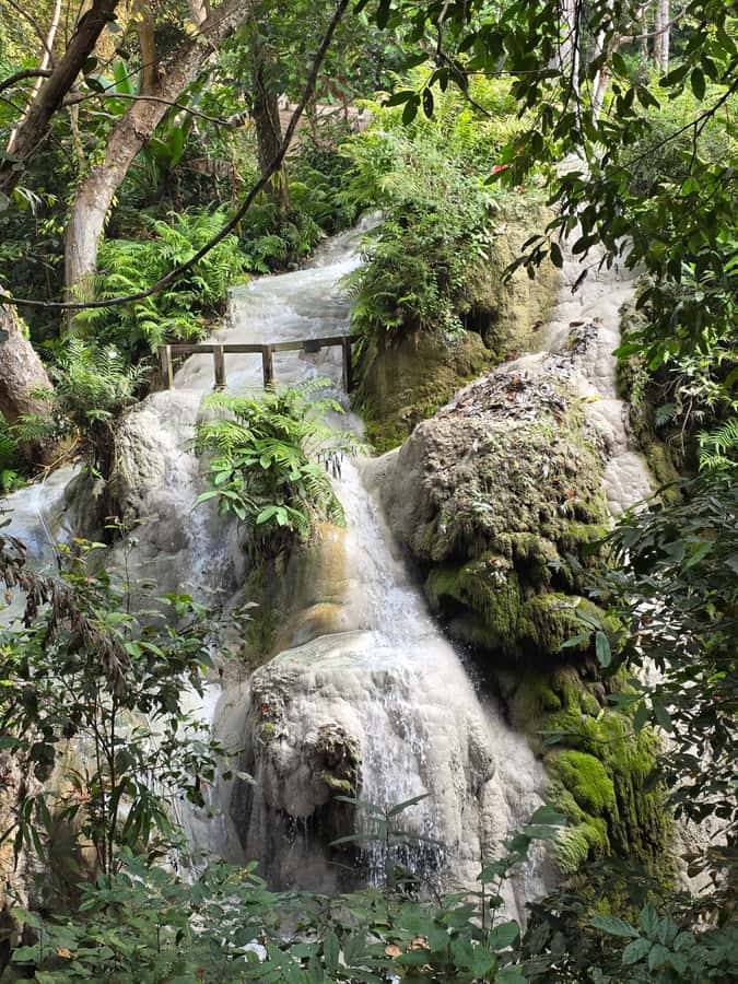 Chiang Mai : Sticky waterfall (Half Day Tour) Hotel Transfer - What to pack for a wet waterfall visit