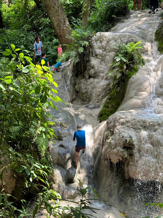 Chiang Mai : Sticky waterfall (Half Day Tour) Hotel Transfer - Where this tour falls short