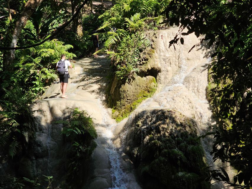 Chiang Mai: Sticky Waterfall Half-Day Tour & Hotel Transfers - Key points to know before booking