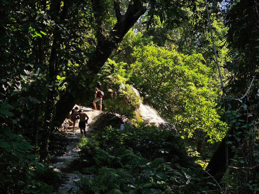 Chiang Mai: Sticky Waterfall Half-Day Tour & Hotel Transfers - Leaving Chiang Mai for Si Lanna National Park