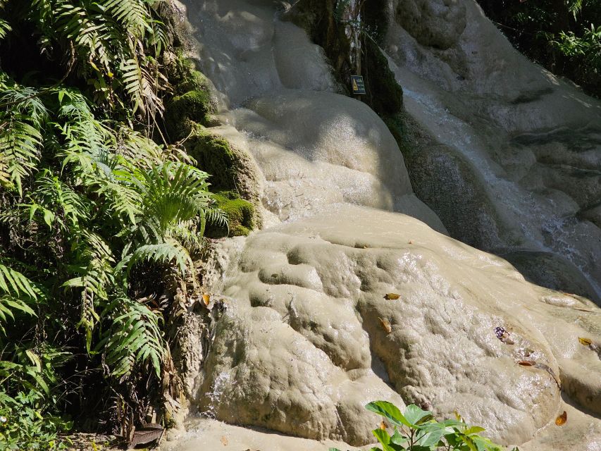 Chiang Mai: Sticky Waterfall Half-Day Tour & Hotel Transfers - Why the early morning departure is worth it