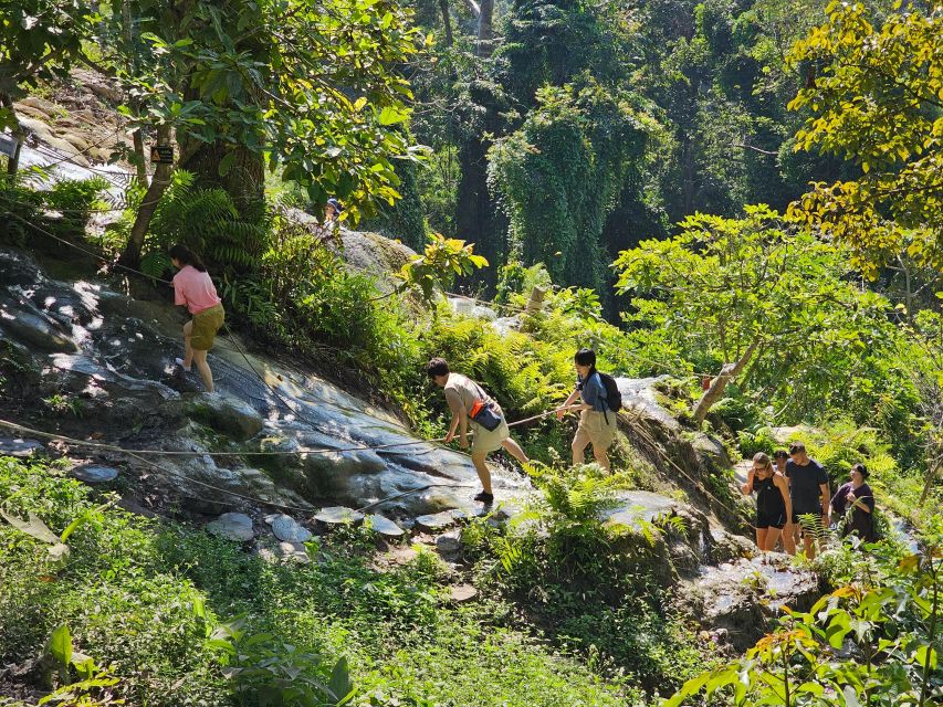 Chiang Mai: Sticky Waterfall Half-Day Tour & Hotel Transfers - What to pack for the waterfall climb