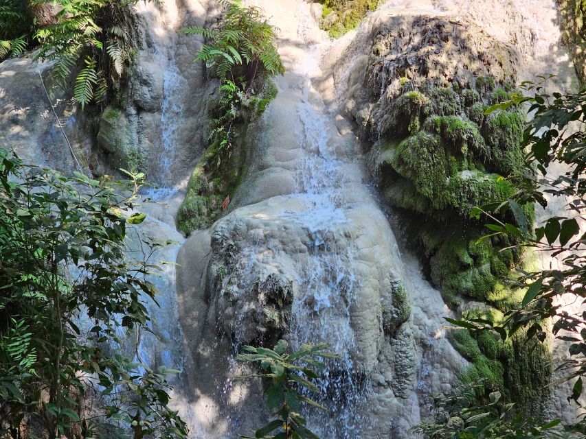 Chiang Mai: Sticky Waterfall Half-Day Tour & Hotel Transfers - Final verdict: book early if you want the best version