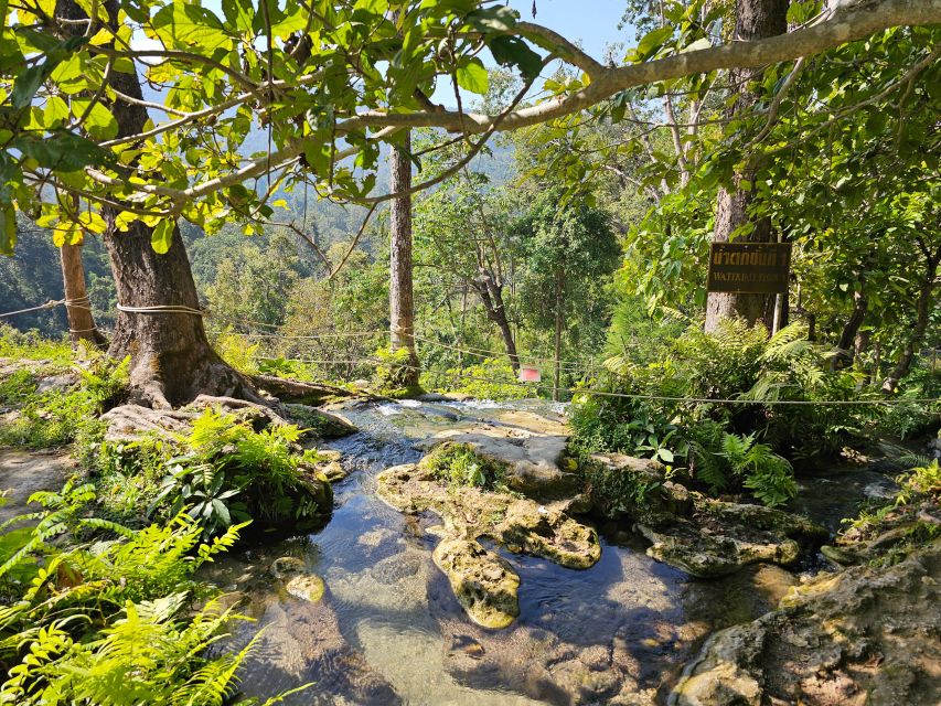 Chiang Mai: Sticky Waterfall Half-Day Tour & Hotel Transfers - The blue-green spring and the pool below