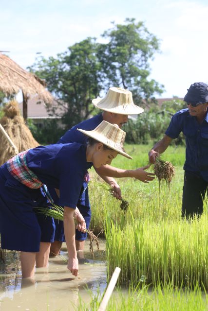 Chiang Mai: Thai Buffalo and Rice Planting Experience - Borrowed farmer clothes make the muddy work easier
