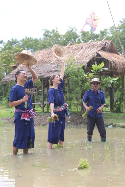 Chiang Mai: Thai Buffalo and Rice Planting Experience - Transport, group size, and the $57 price