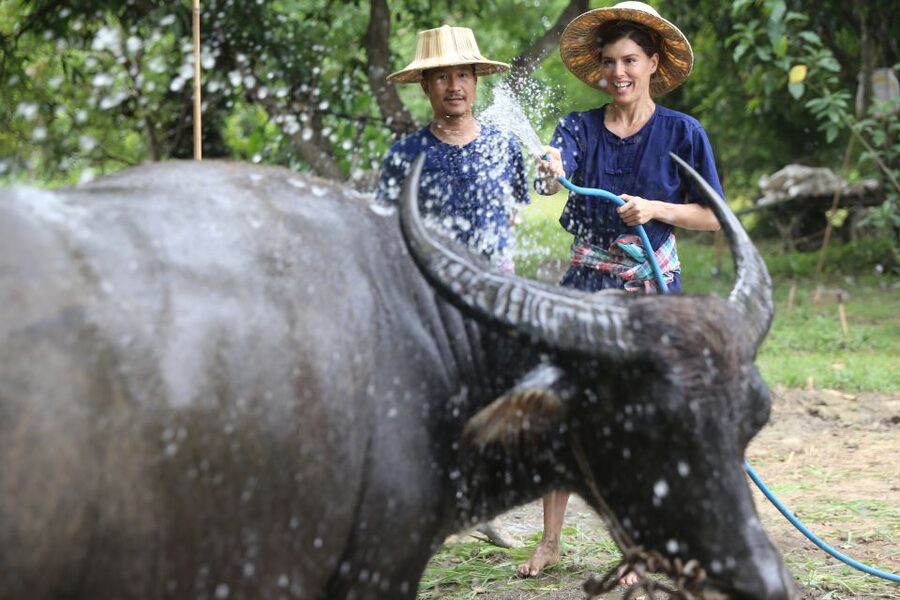 Chiang Mai: Thai Buffalo and Rice Planting Experience - Small details that will make the visit easier