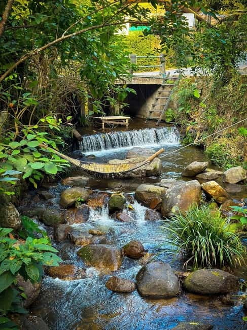 Chiang Mai: The Giant Café & Mae Kampong Village Day Trip - Transport, walking, and physical demands