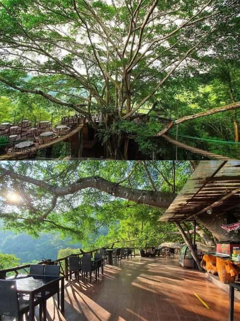 Chiang Mai: The Giant Café & Mae Kampong Village Day Trip - The drive from Chiang Mai into the hills