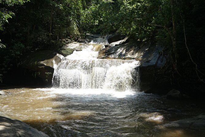 Chiang Mai Trekking Tour :Full day (no rafting) - Why this Chiang Mai day trip works