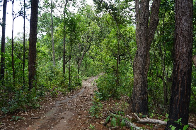 Chiang Mai Trekking Tour :Full day (no rafting) - Waterfall swimming and outdoor comfort