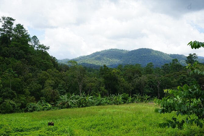 Chiang Mai Trekking Tour :Full day (no rafting) - Lunch with a local touch