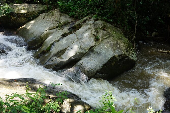 Chiang Mai Trekking Tour :Full day (no rafting) - Who should book this experience