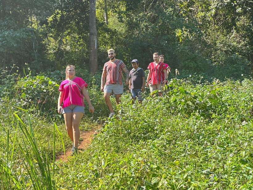 Chiang Mai Untouched Elephant: Nature Walk & Waterfall Trek - The river, mud bath, and elephant-friendly contact