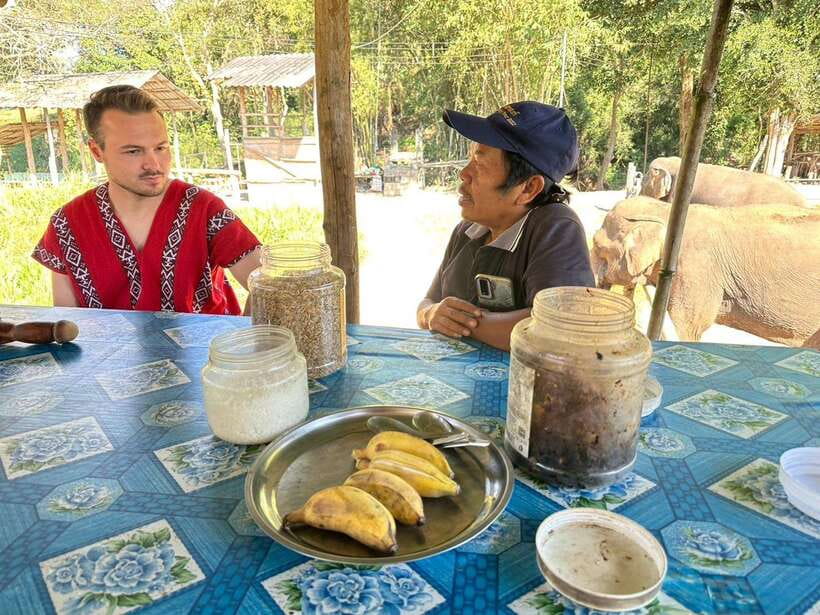 Chiang Mai Untouched Elephant: Nature Walk & Waterfall Trek - A home-cooked lunch in the village
