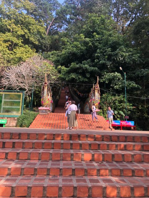 Chiang Mai: Wat Pha Lat & Wat Phra That Doi Suthep Tour - Who should book this Chiang Mai temple tour?
